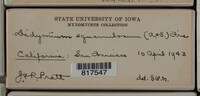 Image Associated With the Occurence